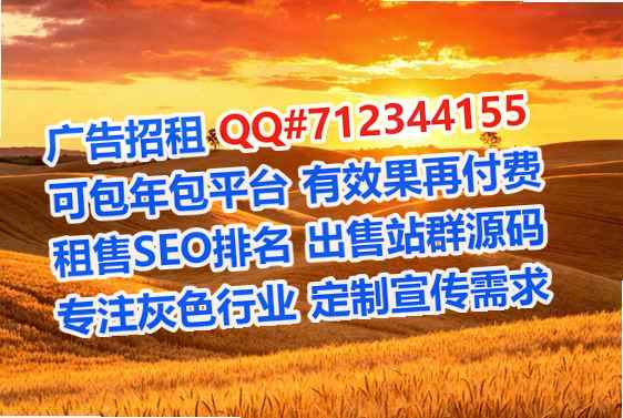阿克苏代母网络工作室