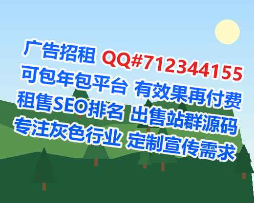 爱辉借腹生子计算机事务所