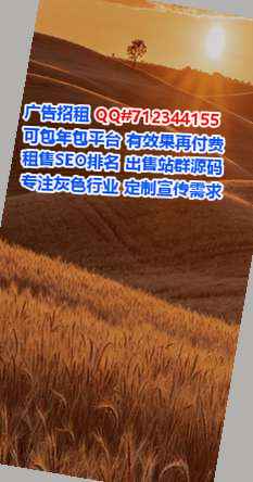 爱民生子汽车服务有限公司