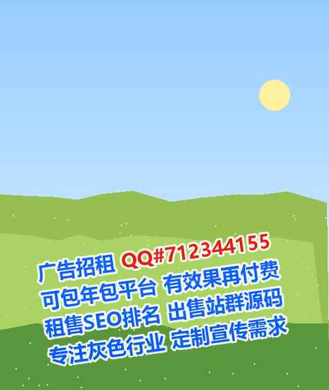 北辰代母信息技术公司