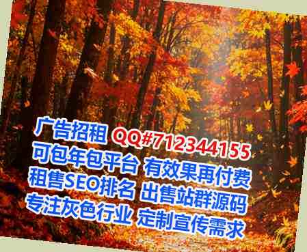 蚌埠代生网络工作室