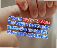 郾城代生系统集成公司