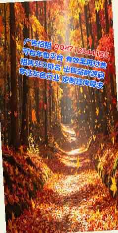 富蕴试管婴儿玩具工作室