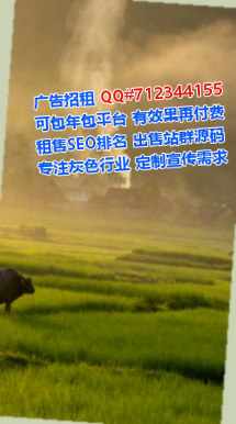 公安生子房地产工作室