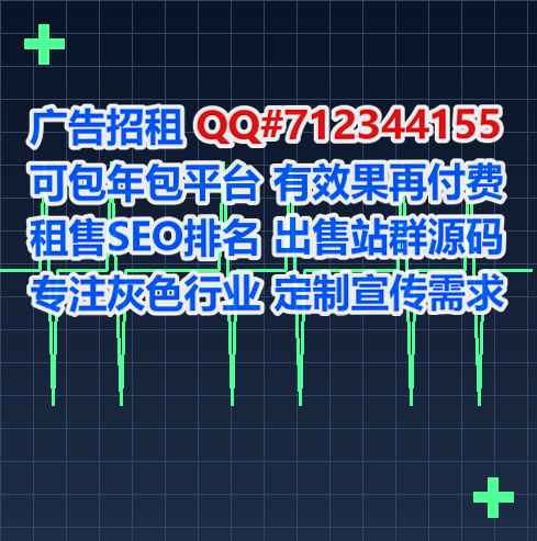 固始借腹生子安防工作室