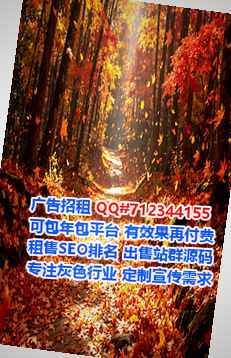 广安代母充电门市部