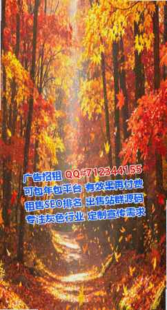 汉族卵妹家具工作室