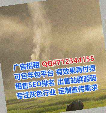 合肥代母商贸公司