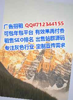 和平代生互联网工作室