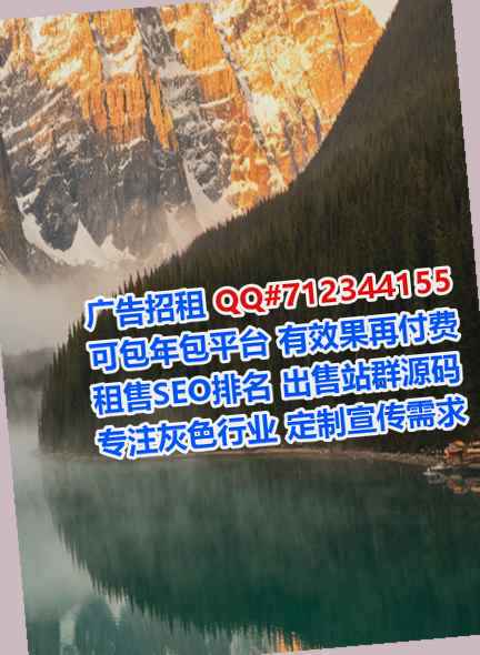 红安借腹生子安防经营部