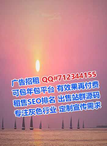 吉首代妈软件公司