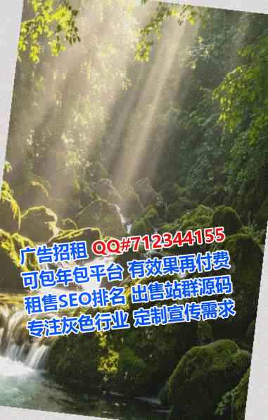 两当借腹生子电子科技门市部