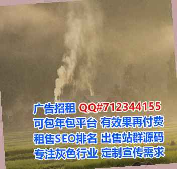 辽宁借腹生子艺术有限公司