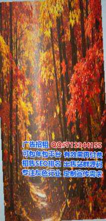 临清代妈风电门市部