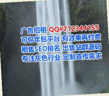 灵台代生安防工作室
