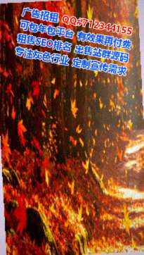 陇川孕母文化公司