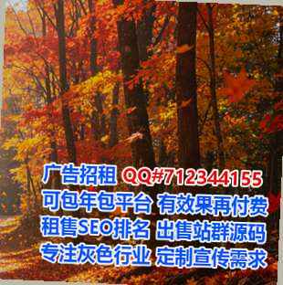 罗甸卵妹风电公司