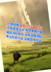 吕梁代母知识产权公司