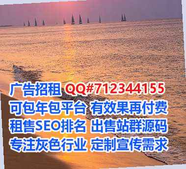 满族生子充电有限公司