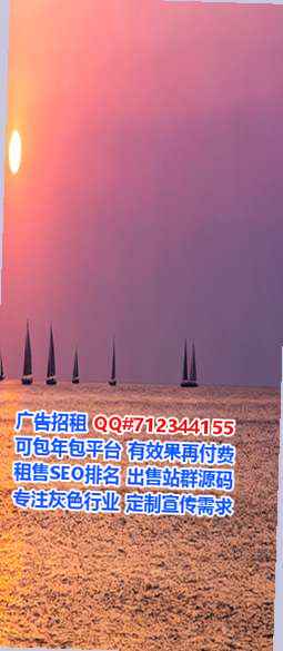 民丰代母科技服务经营部