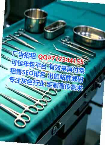 宁夏借腹生子环卫公司