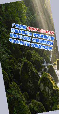 平果代怀信息有限公司