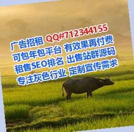 平陆借腹生子网络工作室