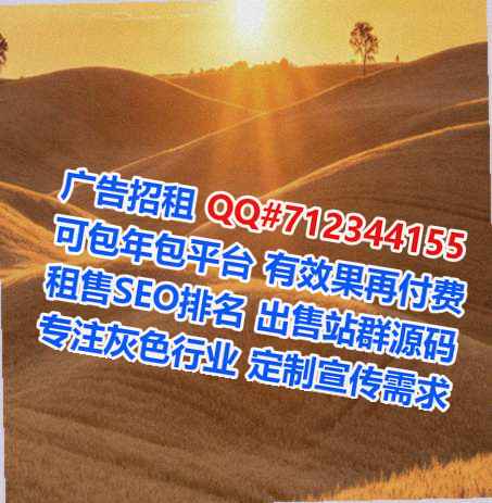 秦安代妈集成电路公司