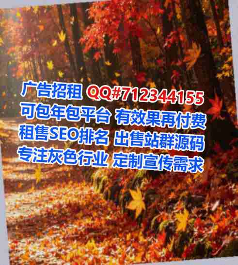 曲阜代生软件公司