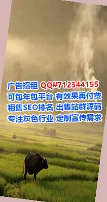 乳山代生集成电路公司