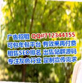 三穗孕母软件公司