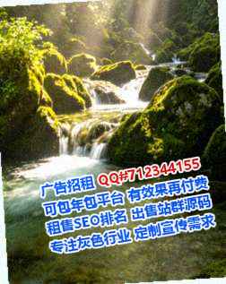 岐山借腹生子食品有限公司