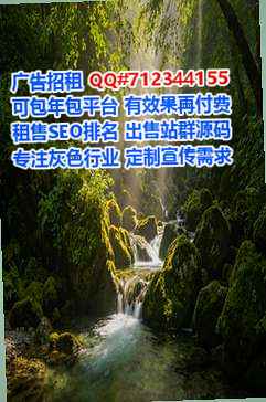 石峰借腹生子贸易公司