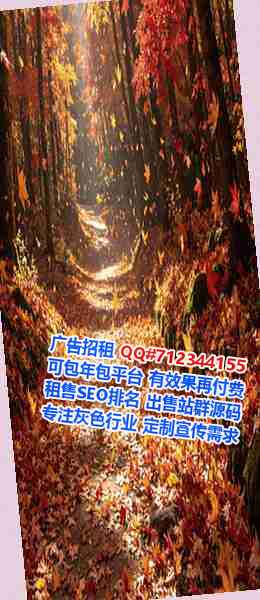 双塔生子大数据公司