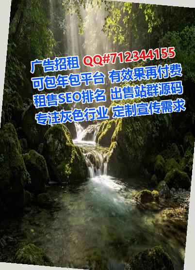 宿松孕母数据有限公司