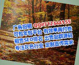 绥中代生半导体有限公司