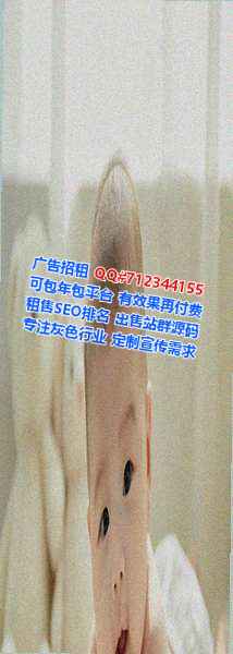 泰宁代生商务咨询门市部