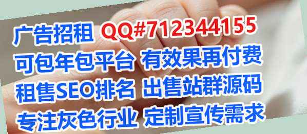 贴吧借腹生子计算机有限公司