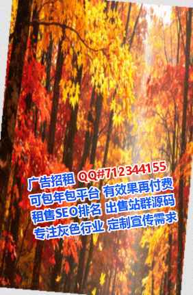亭湖借腹生子智能科技工作室