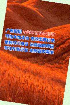 万荣代怀贸易工作室