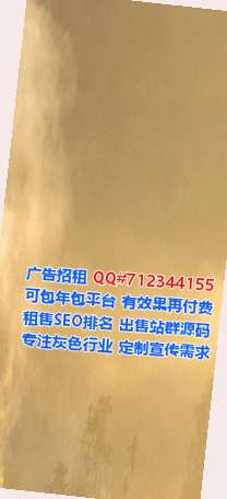 西岗代生市政有限公司