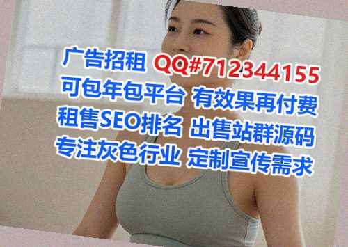 西陵借腹生子储能公司