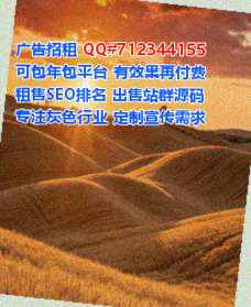 霞山卵源融资租赁公司