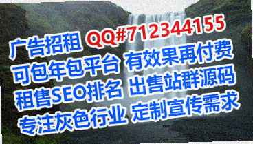 仙桃代母系统集成公司