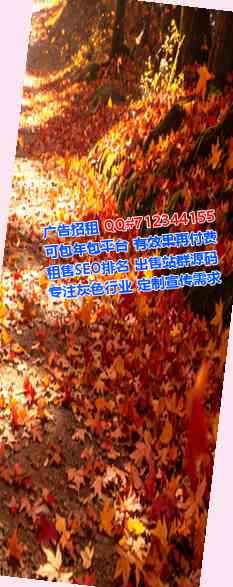 项城试管智能科技工作室
