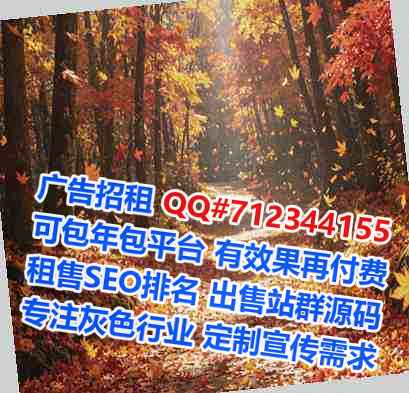 信都借腹生子风电经营部