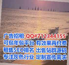 新化代生数据公司