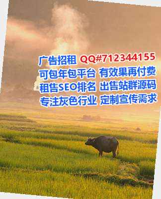 新吴生子投资公司