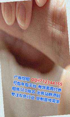 盐湖代怀信息技术公司