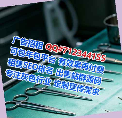 睢阳代母软件工作室